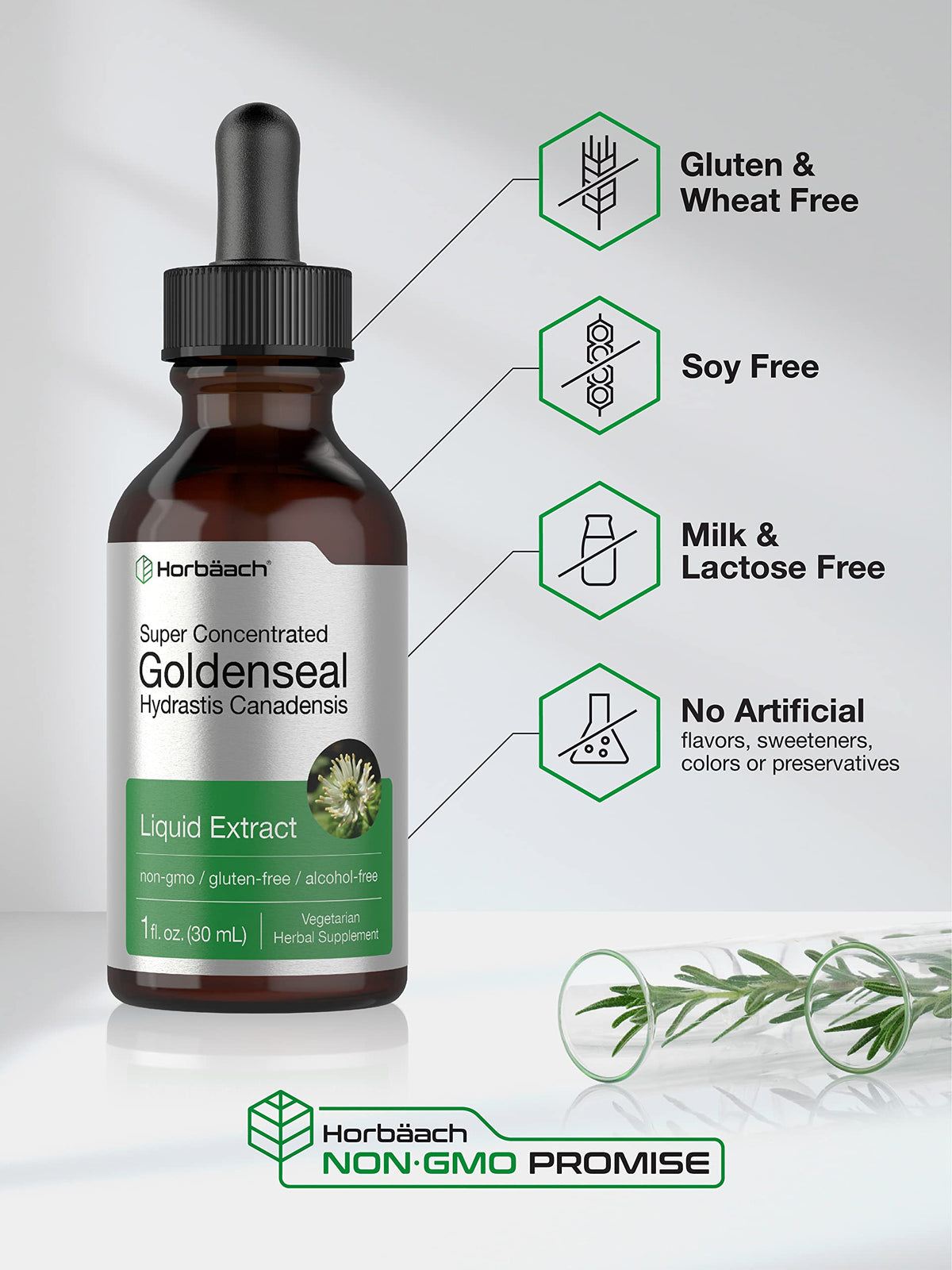 Horbäach Teinture de Racine de Goldenseal 30ml étiquette