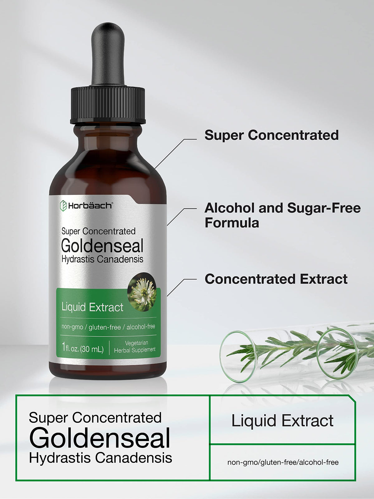 Horbäach Teinture de Racine de Goldenseal 30ml goutte à goutte