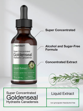 Horbäach Teinture de Racine de Goldenseal 30ml goutte à goutte