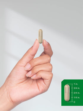 Horbäach Vitamine C 1000mg boîte avec capsules