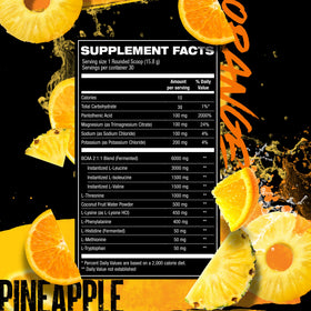 HOSSTILE SILO[9] poudre EAA goût orange ananas