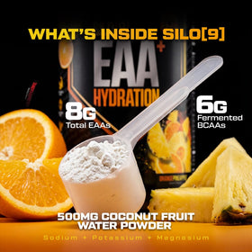 HOSSTILE SILO[9] poudre EAA nutritionnelle détaillée