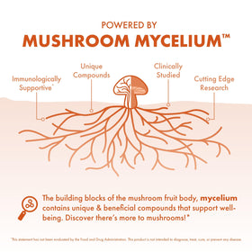 Host Defense Cordyceps Extract dans un cadre de vie
