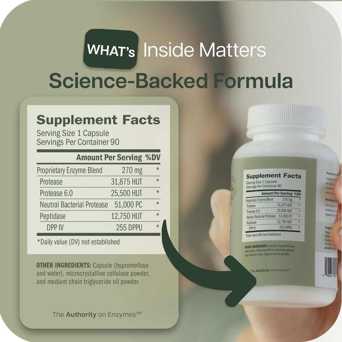 Houston Enzymes AFP Peptizyde en usage avec un repas