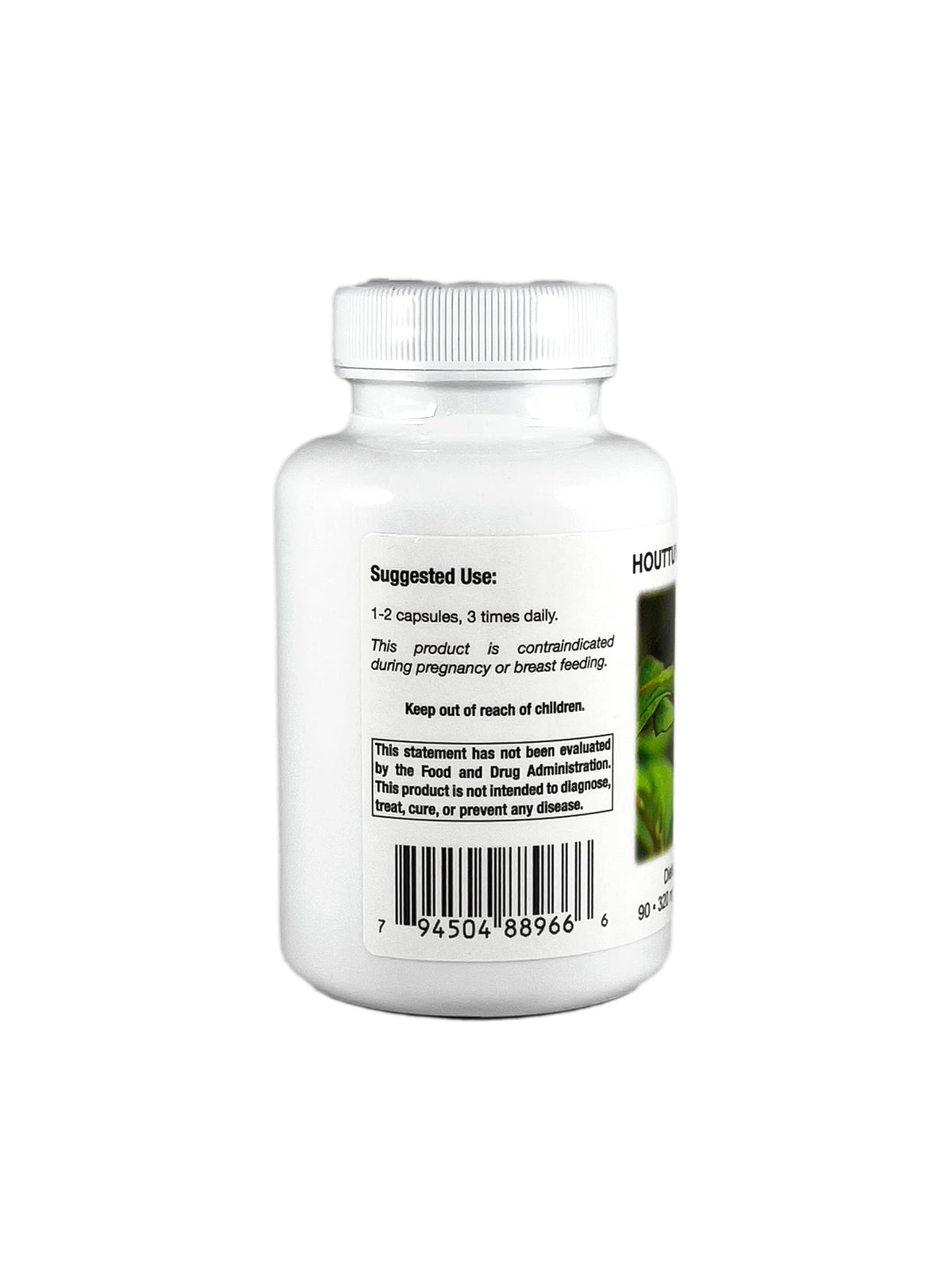 Houttuynia capsules dans un environnement naturel