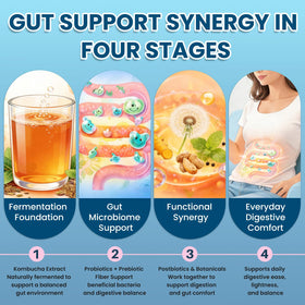 Hovika Gummies Kombucha ingrédients naturels affichés