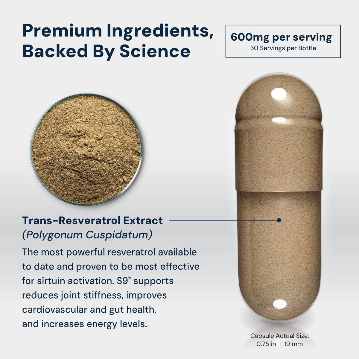 HPN S(9) Trans-Resveratrol, capsules végétales à l'intérieur