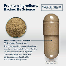 HPN S(9) Trans-Resveratrol, capsules végétales à l'intérieur