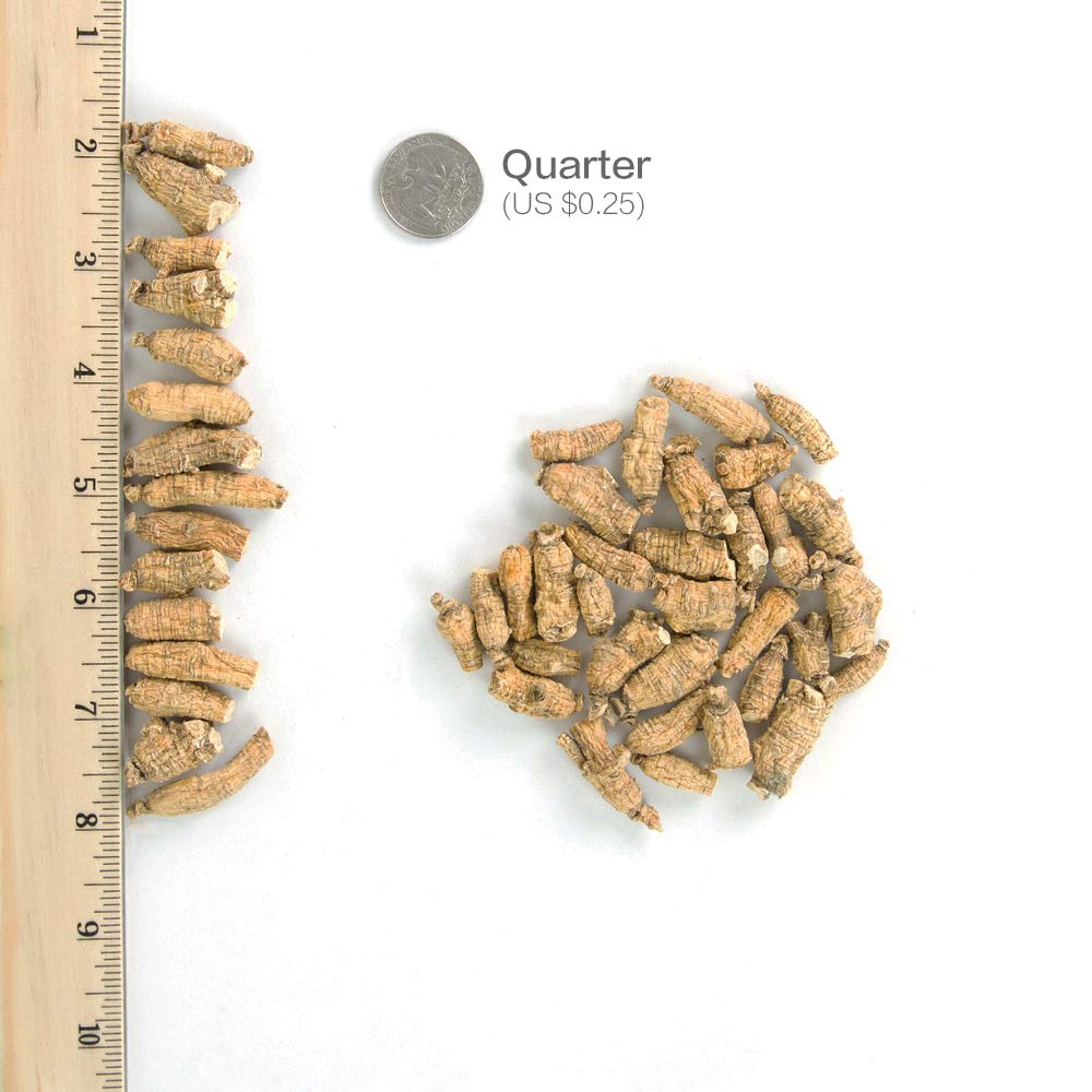 Hsu's Ginseng Américain Racines dans leur boîte de protection
