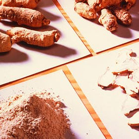Hsu's Racines de Ginseng Américain présentation pour cadeau