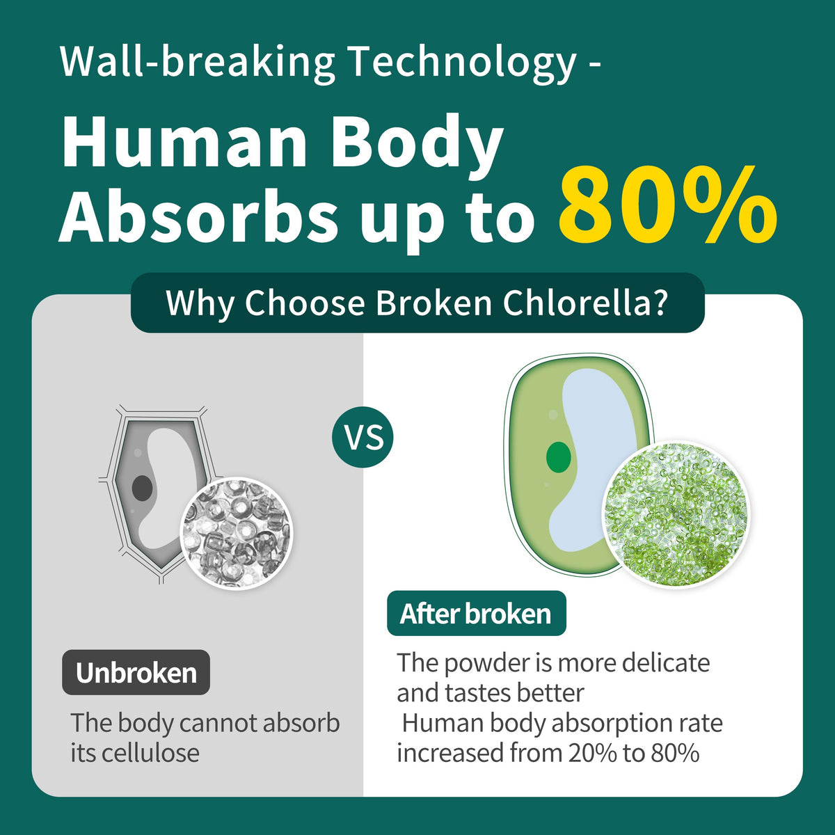 Hudetex Poudre de Chlorelle Naturelle 280g en utilisation dans un smoothie
