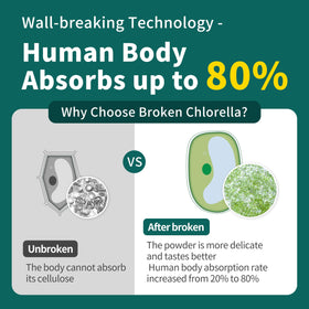 Hudetex Poudre de Chlorelle Naturelle 280g en utilisation dans un smoothie