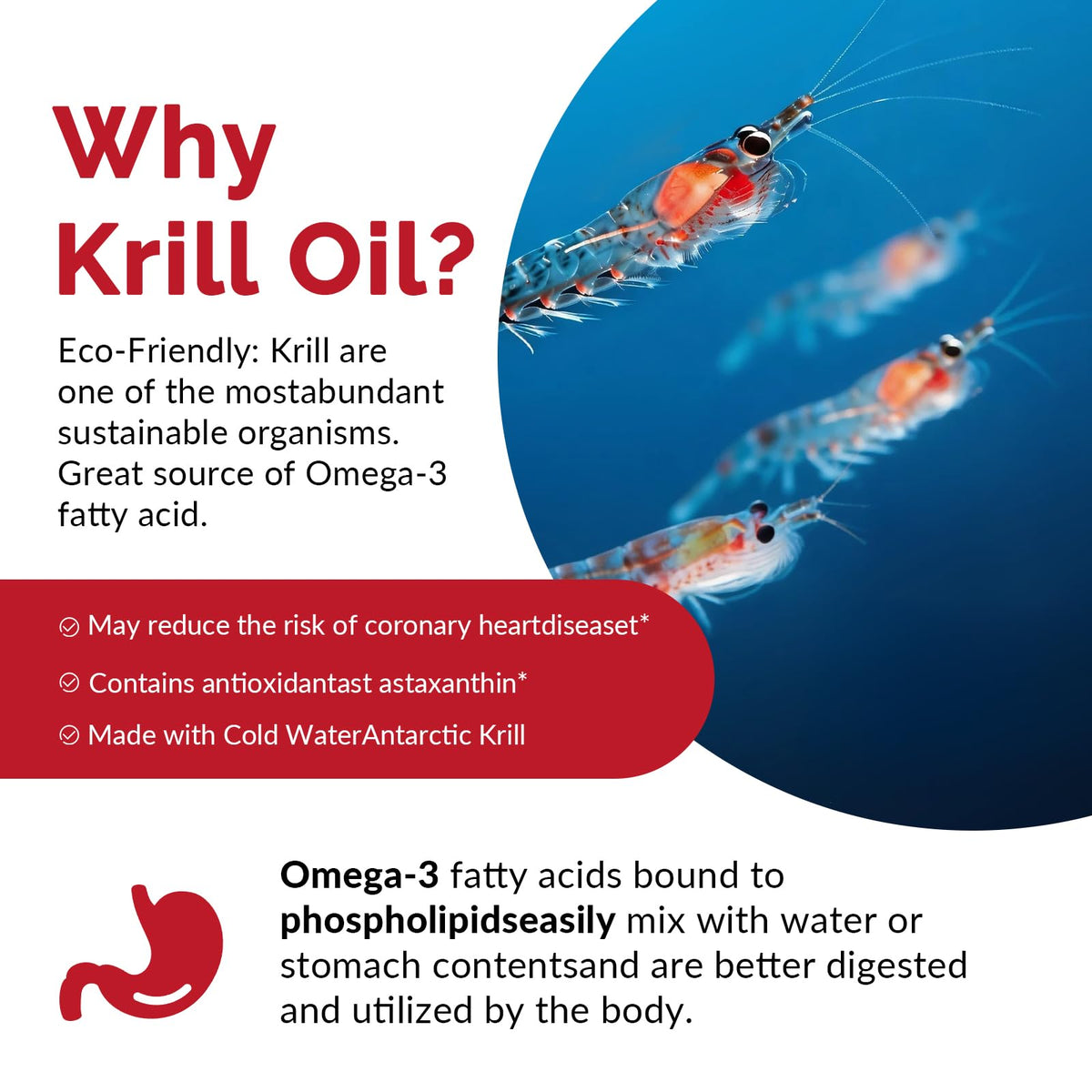 Huile de krill JulyDeer avec ingrédients principaux