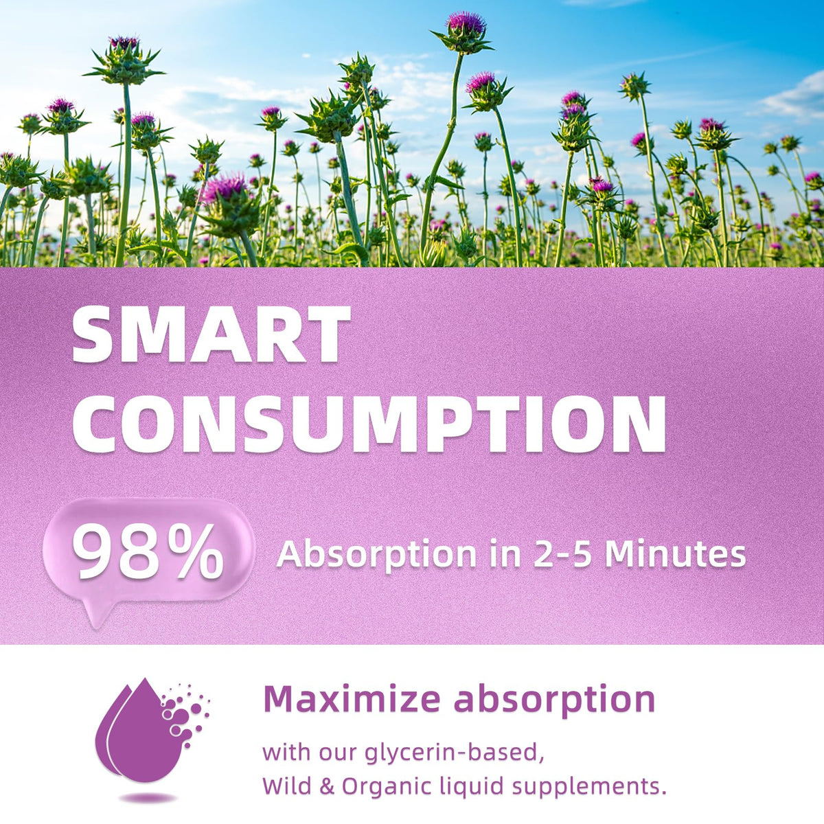 HUXINSK Extrait de Chardon-Marie 60ml avec pipette
