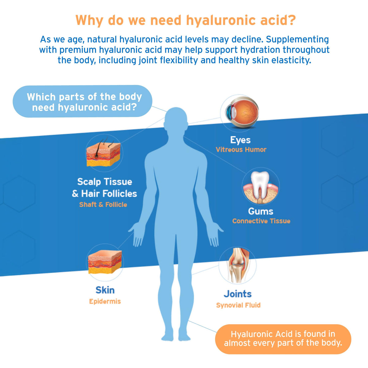 Hyalogic Complément Alimentaire Hyaluronique 59g étiquette et ingrédients