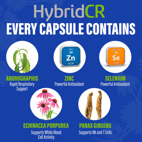 Hybrid Complément Alimentaire Support daily wellness - gélules sur fond blanc