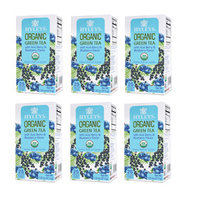 HYLEYS Thé Vert Bio Acai Berry & Myrtille boîte de 150 sachets