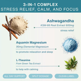 Igennus Ashwagandha KSM-66 600mg étiquette avec ingrédients