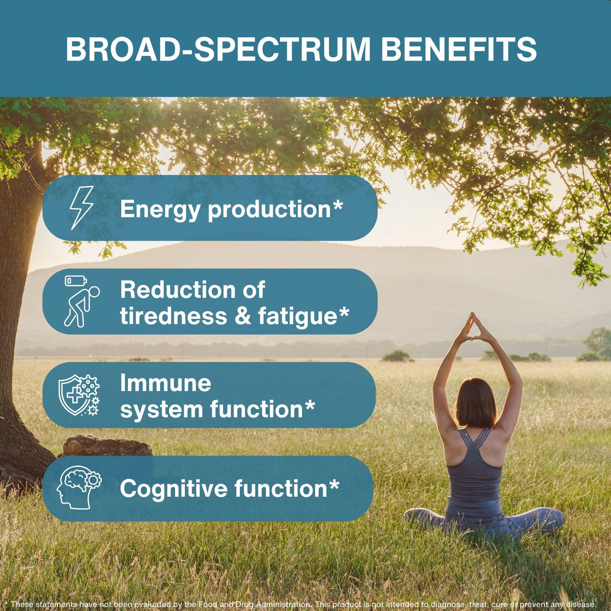 Igennus Fer Bisglycinate 20mg 180 comprimés, utilisation quotidienne