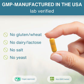 Igennus Longvida Curcumin 500mg capsules en main