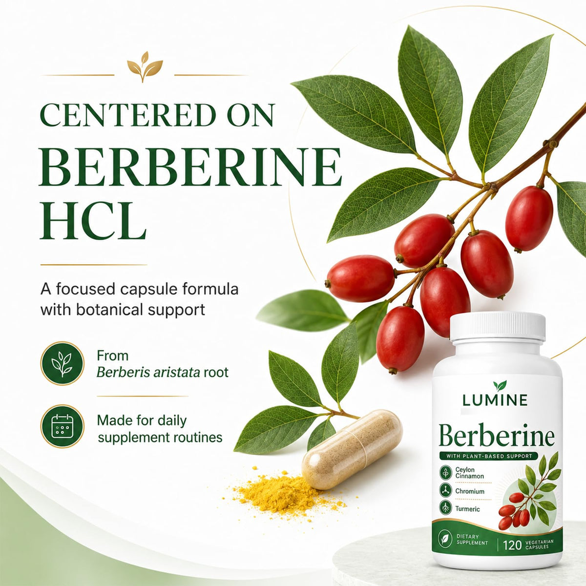 Illustration de la composition des capsules de berbérine