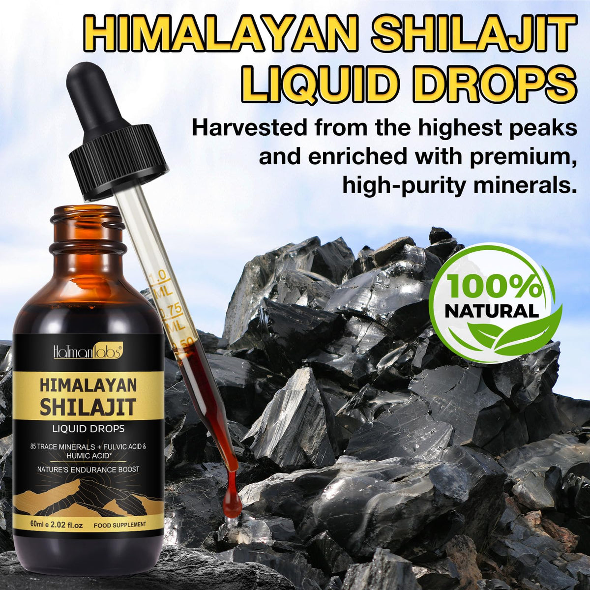 Illustration des minéraux dans le Shilajit Himalayen