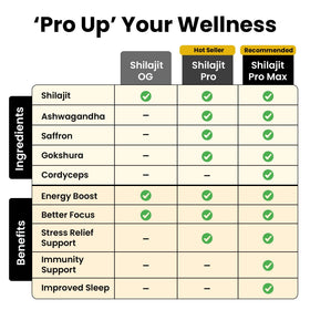 Illustration des minéraux présents dans la résine de shilajit