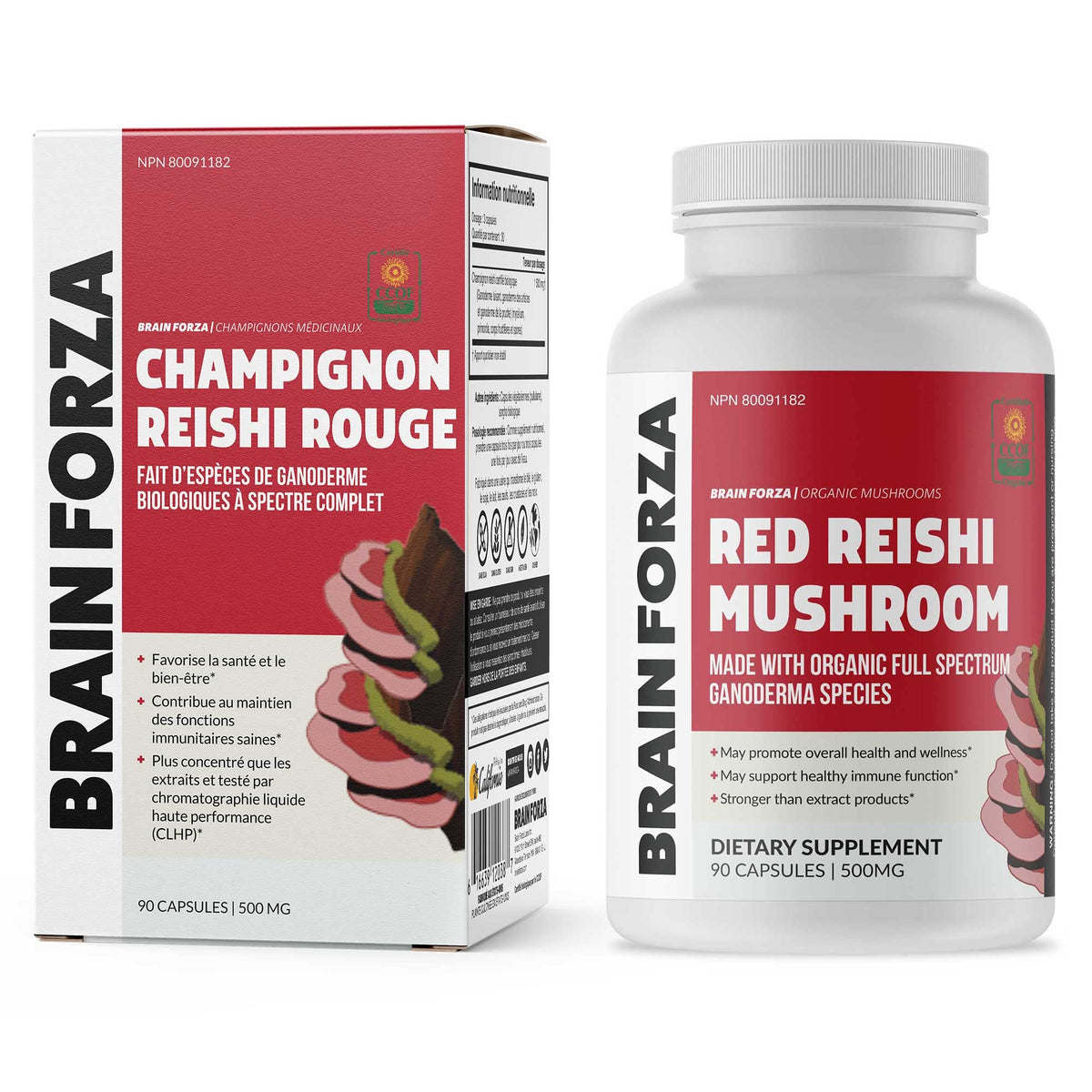 Image de l'étiquette du flacon de capsules de champignon Reishi Rouge bio Brain Forza