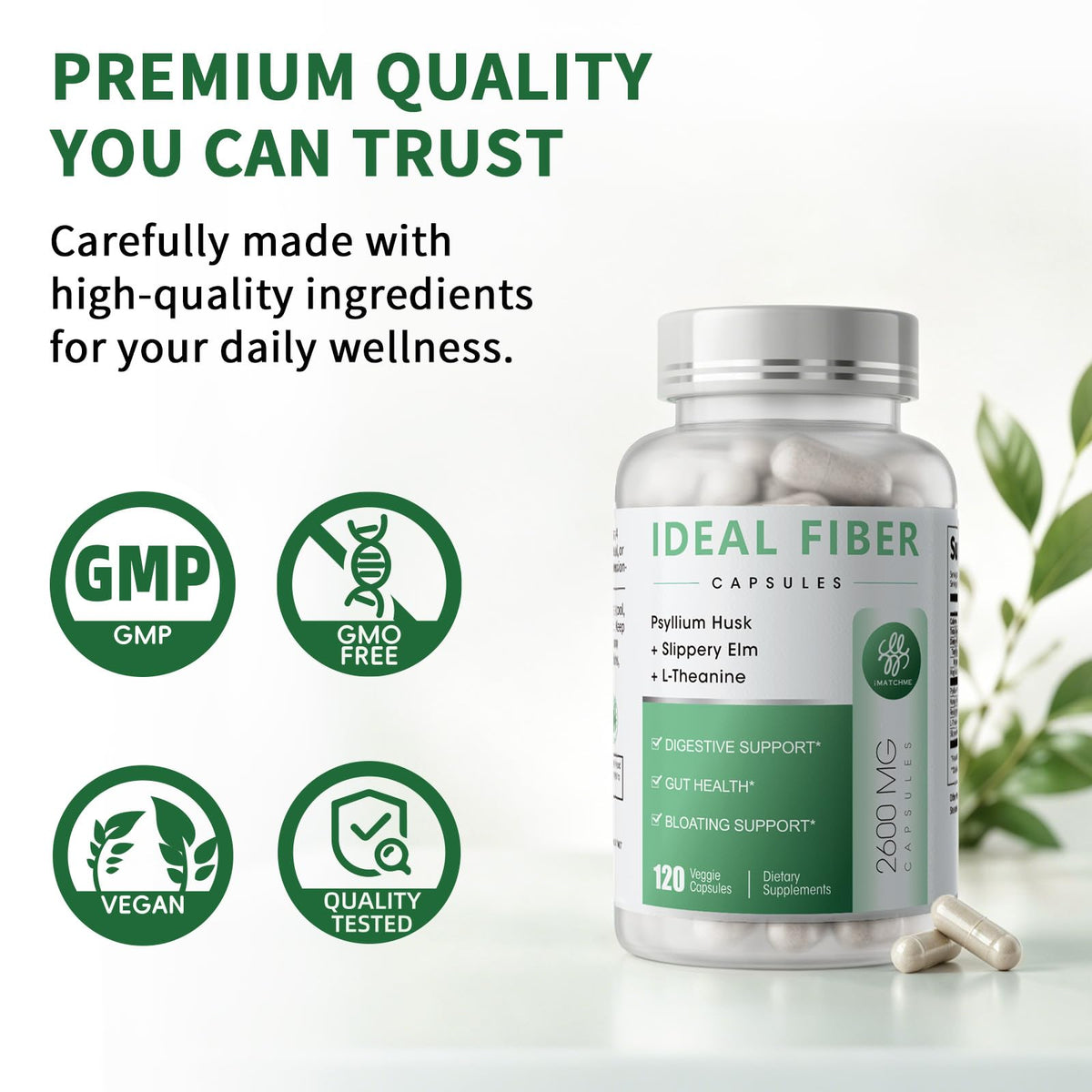 iMATCHME Complément Alimentaire Fibres capsules en gros plan
