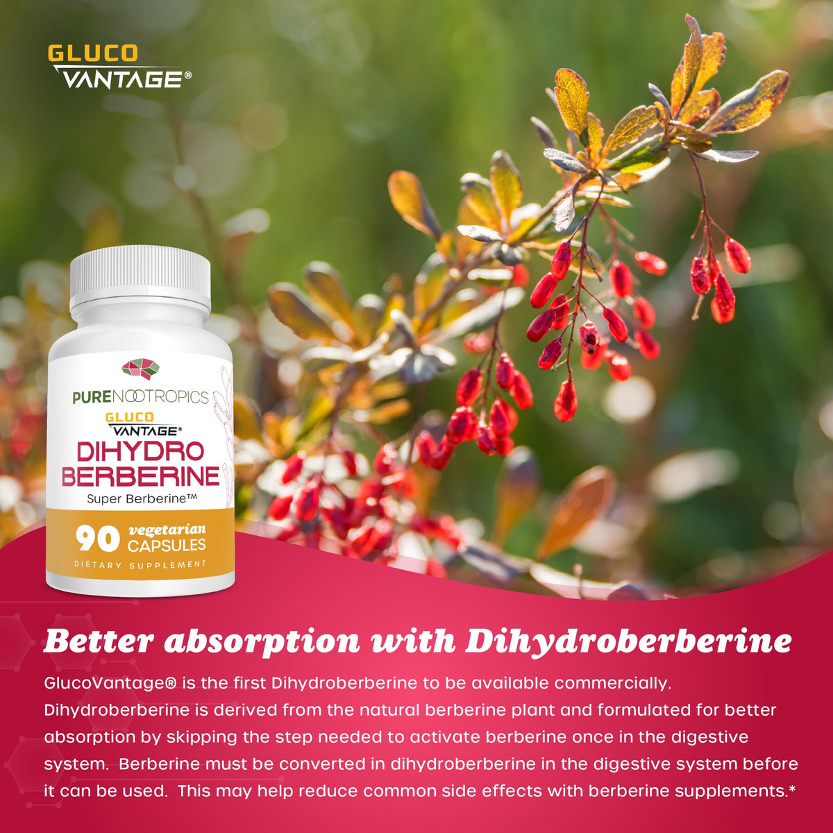 Informations nutritionnelles sur le flacon de Dihydroberbérine GlucoVantage