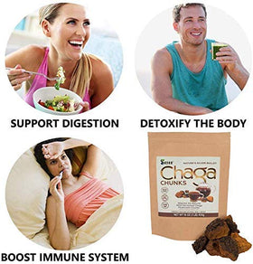 Infusion de Chaga Sayan dans une tasse