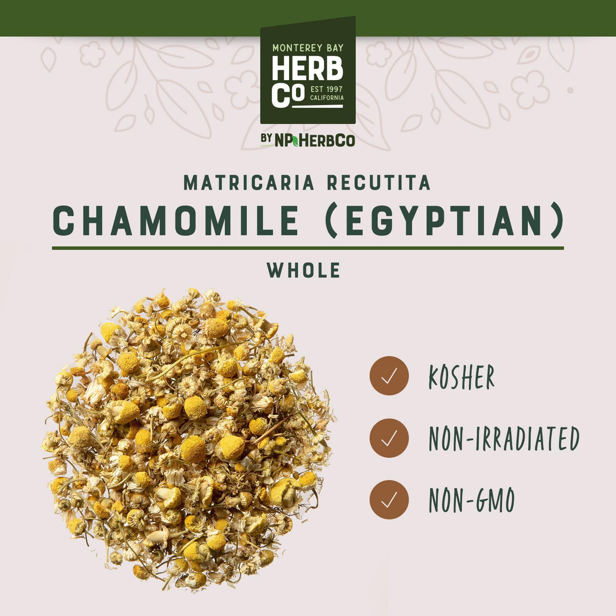 Infusion de fleurs de camomille égyptienne dans une tasse