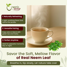 Infusion de thé à base de feuilles de neem dans une tasse
