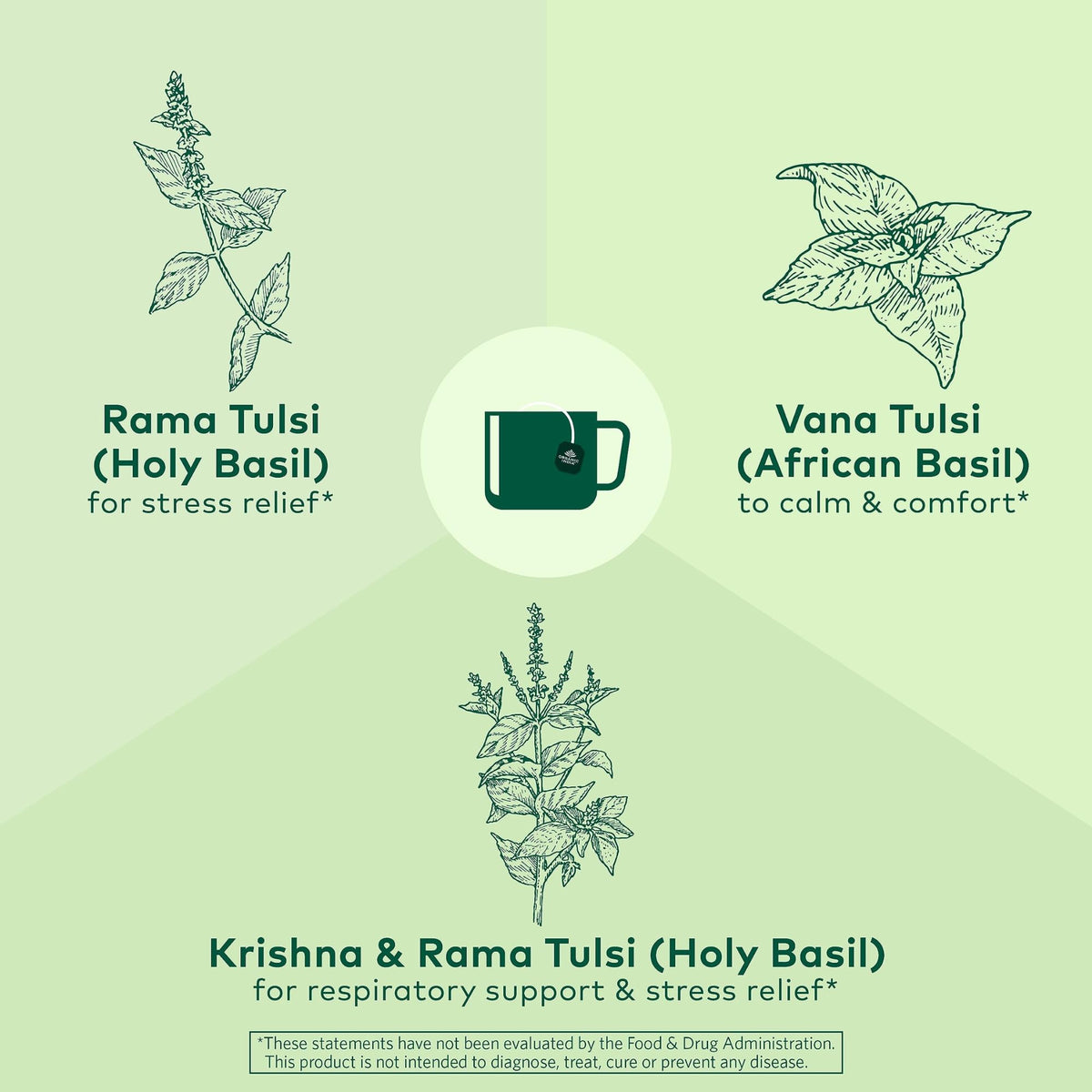 Infusion de Thé Herbal Tulsi Original ORGANIC INDIA dans une tasse