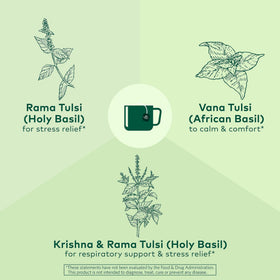 Infusion de Thé Herbal Tulsi Original ORGANIC INDIA dans une tasse