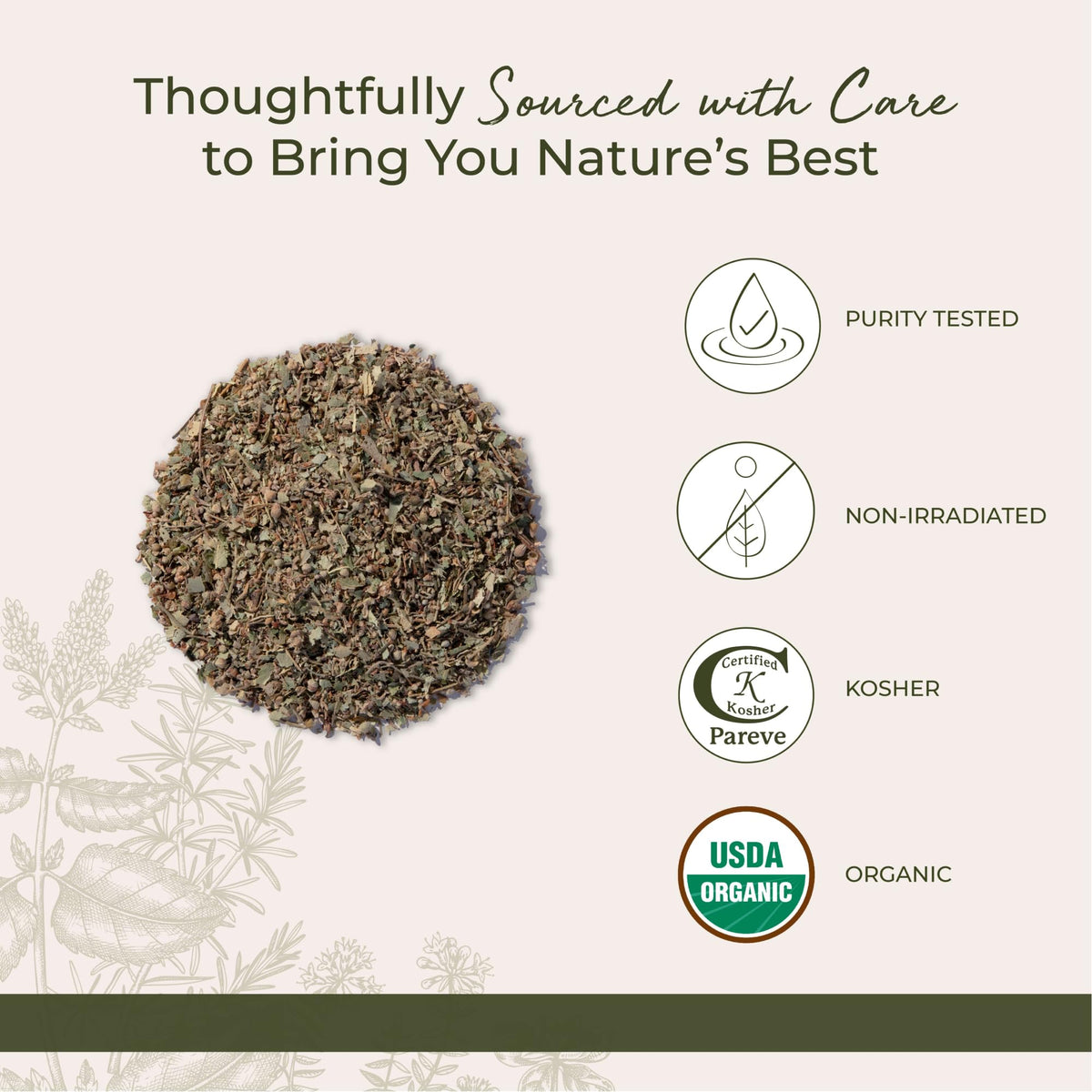 Infusion de tilleul avec des fleurs et feuilles Starwest Botanicals