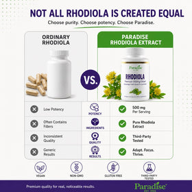 Ingrédients bioactifs des capsules d'extrait de Rhodiola
