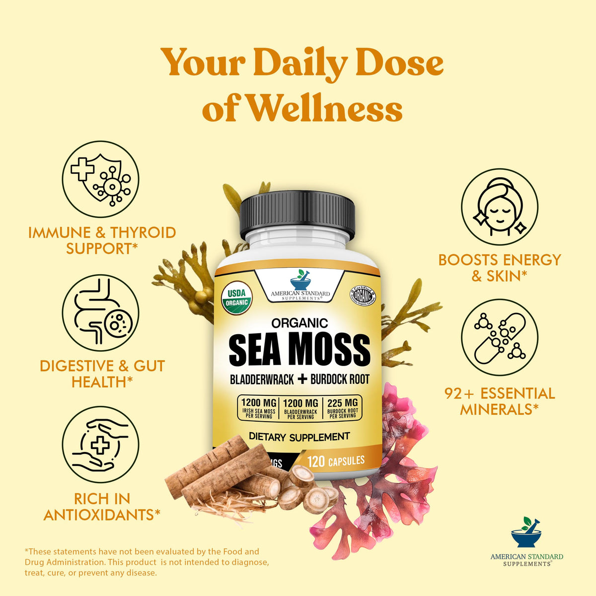 Ingrédients biologiques des capsules d'algues maritimes