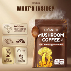 Ingrédients biologiques du Café aux Champignons NOVYTHEN