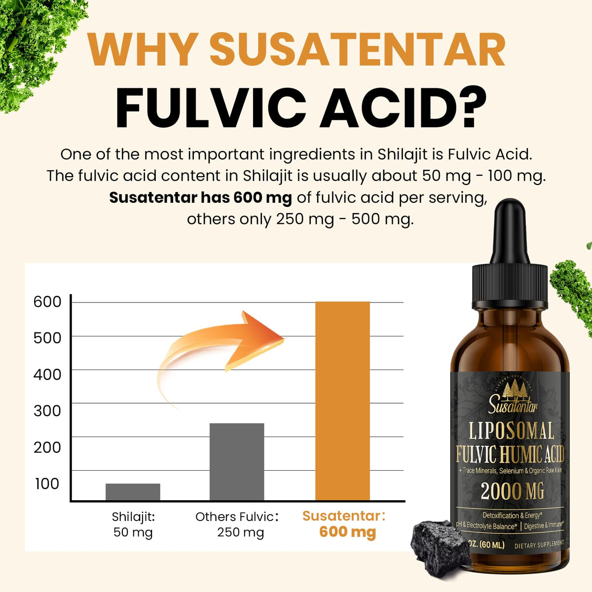 Ingrédients biologiques du complément Susatentar Acide Fulvique