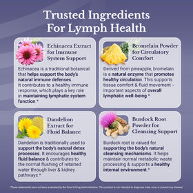 Ingrédients botaniques de Lymph MD étalés sur une table