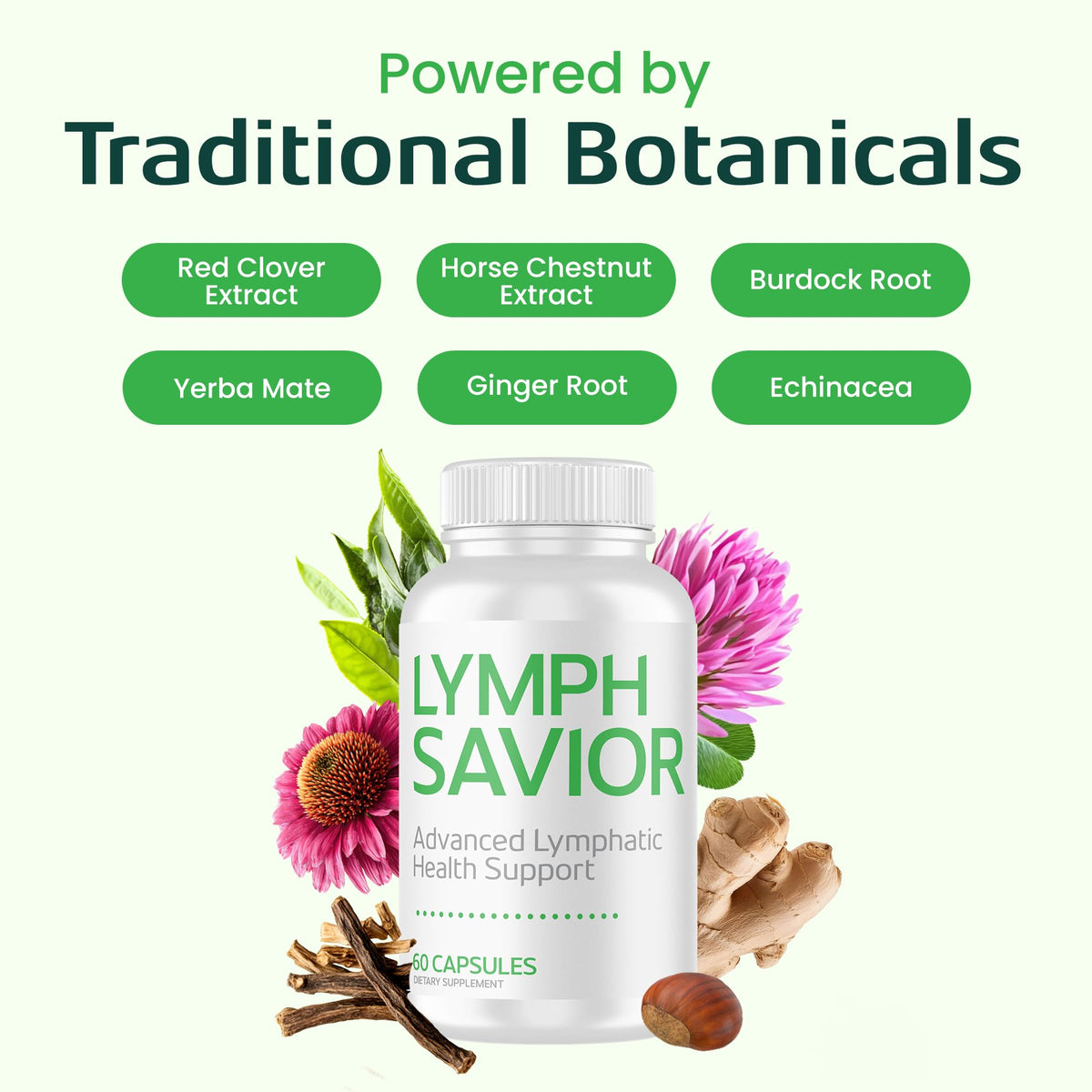 Ingrédients botaniques de Lymph Savior sur un fond naturel