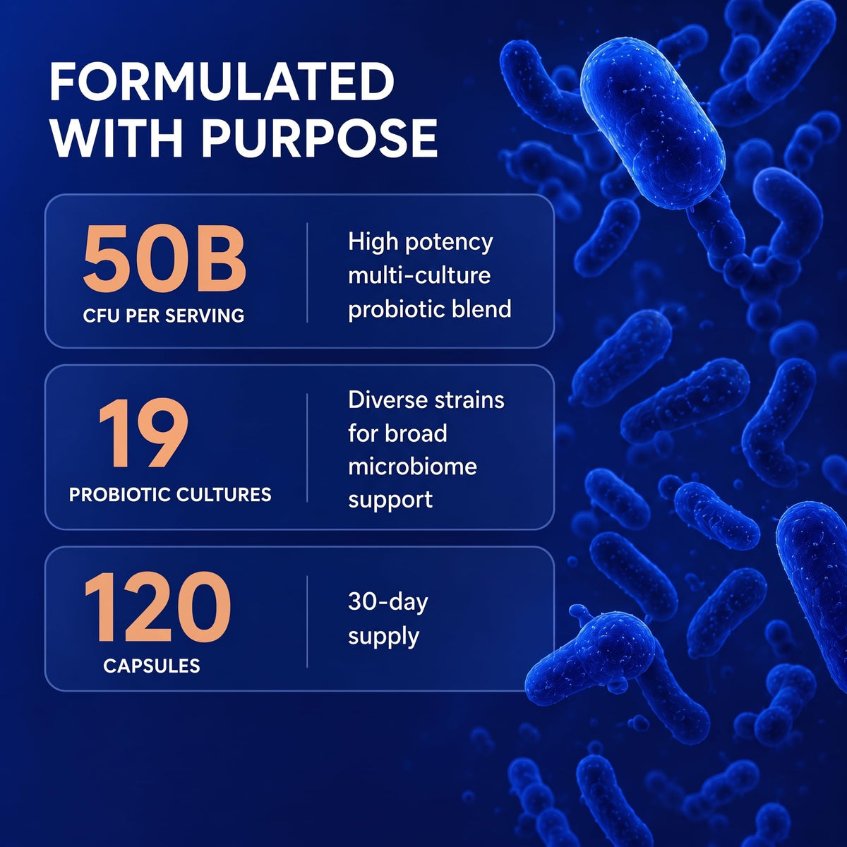Ingrédients botaniques utilisés dans les capsules HerbX