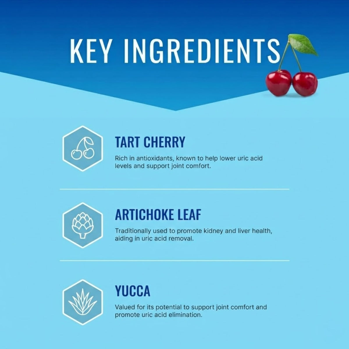 Ingrédients clés de Uric Acid Flush: cerise acide, chardon-Marie et pissenlit