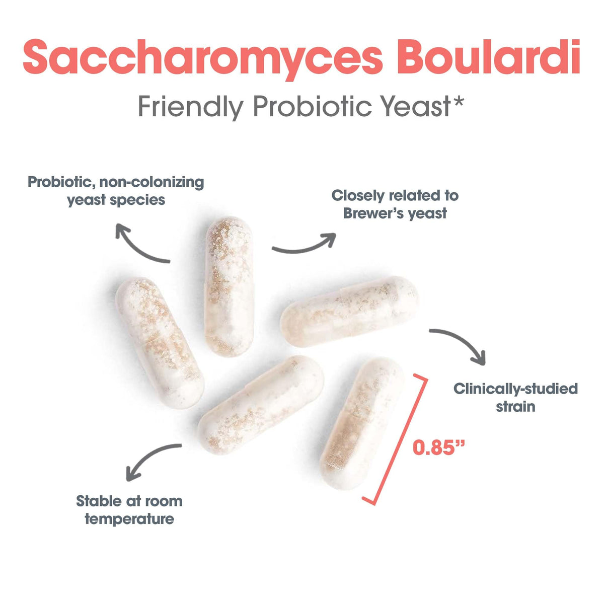Ingrédients d'ARG Essential-Biotic Saccharomyces Boulardii sur l'étiquette