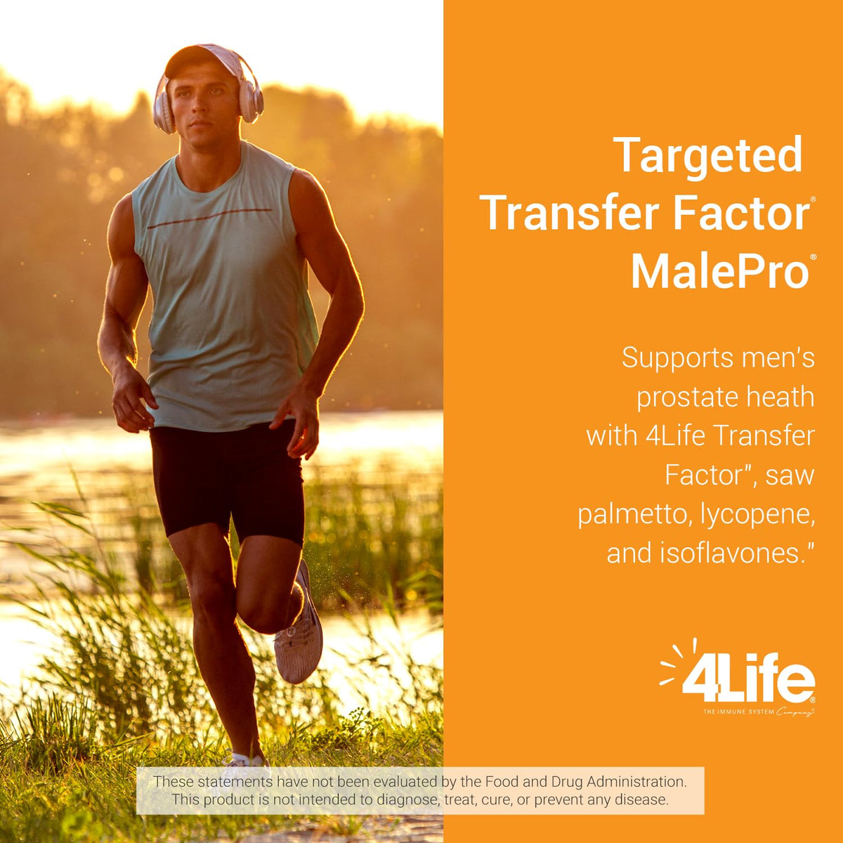 Ingrédients de 4Life MalePro sur l'étiquette