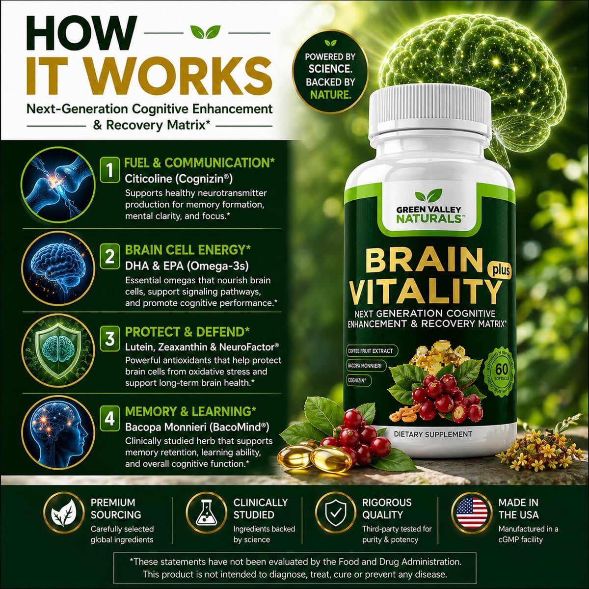 Ingrédients de Brain Vitality Plus™ sur une table