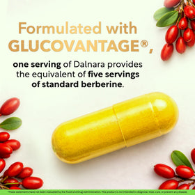 Ingrédients de Dalnara Dihydroberberine 250mg sur table