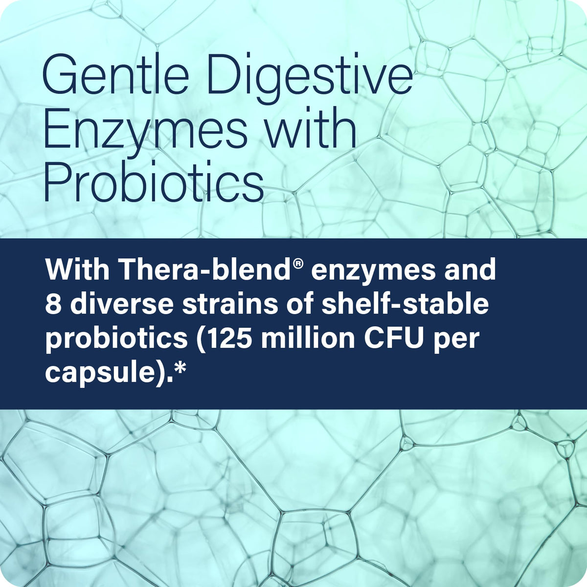 Ingrédients de Enzyme Science Complément Alimentaire Multi-Enzymes