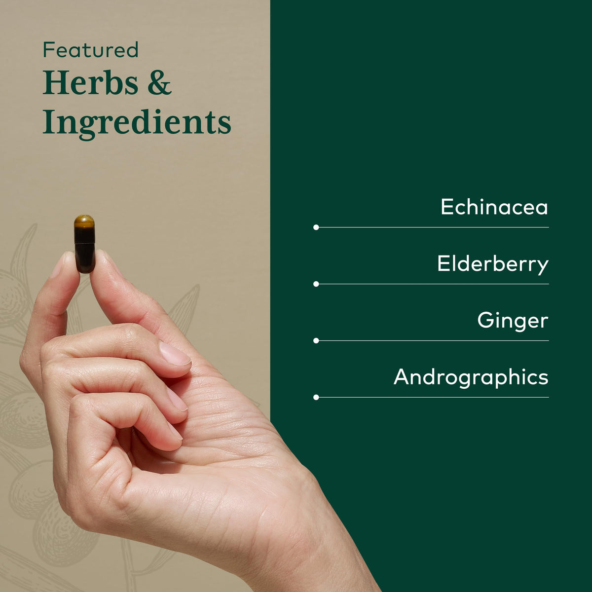 Ingrédients de Gaia Herbs PRO Activateur daily wellness sur table